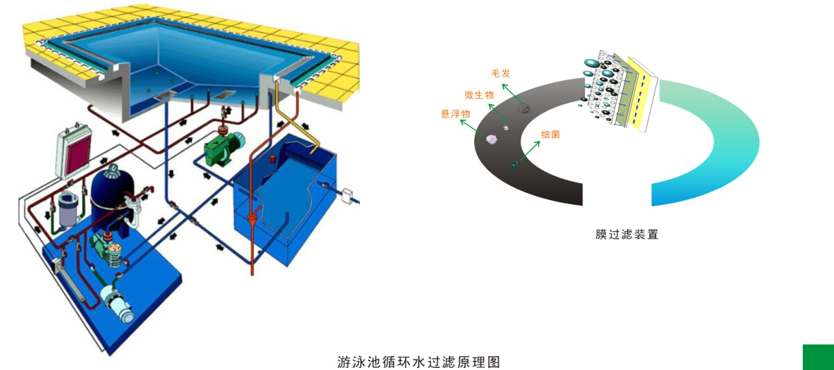游泳池水循环净化(huà)处理工程